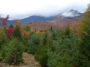 indrukwekkende herfstkleuren | White Mountains